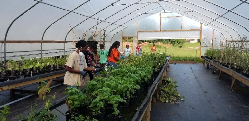 Havana CDC Online Farmers Market